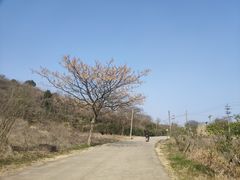 -南北湖风景区