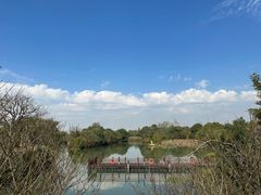 -西溪国家湿地公园