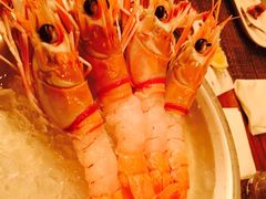 -斯普汇生蚝牛排馆(中骏世界城店)