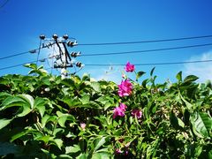 -火火咖啡&茶空间