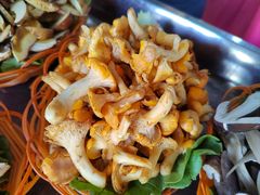 -佳缘野生菌食府