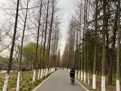 -昆山城市生态森林公园