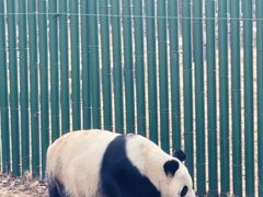 -沈阳森林动物园