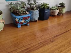 -媛媛家秘制鸡丝凉皮(陆慕店)