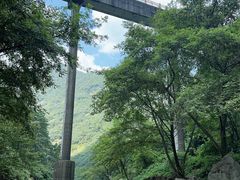 -雅鲁激流探险漂流