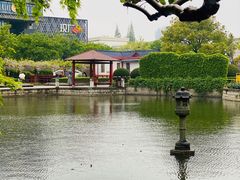 -嘉定紫藤园