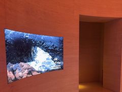-舒小悦·舒养SPA·古法推拿(光环中心店)