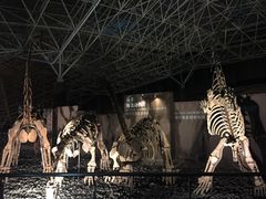 -世界恐龙谷景区