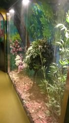 点击看大图 -北京科学中心儿童乐园