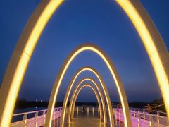 -大兴滨河森林公园