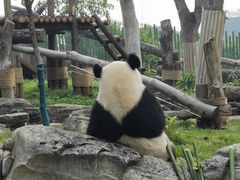 -武汉动物园