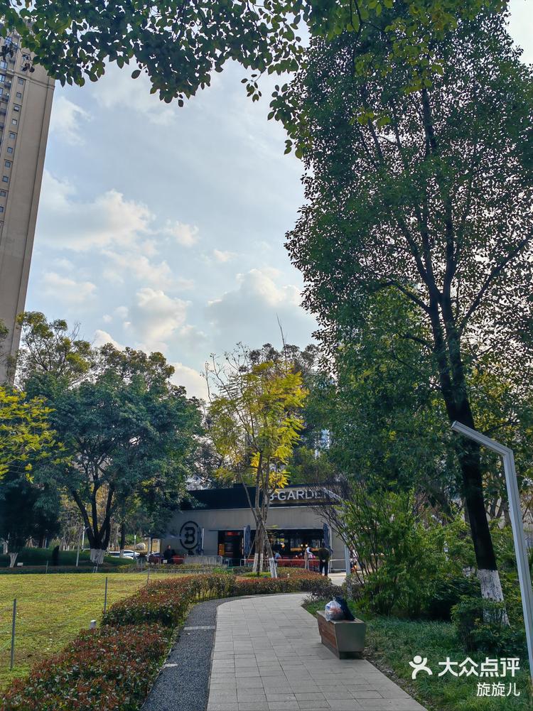 万象公园,高楼林立中的春日林间7715