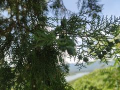 -北京十三陵国家森林公园蟒山景区