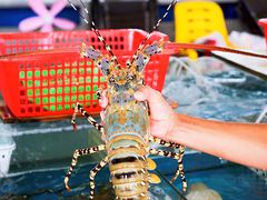 -四川小胡子海鲜(丁村万人海鲜广场店)