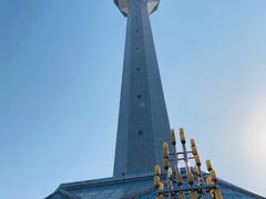 -陕西自然博物馆