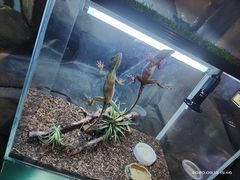 -梦幻海洋王国(吾悦广场张家港店)