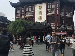 -绿波廊七号(豫园新路店)