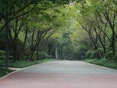 -百林公园-两江幸福广场