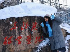 -横道河子东北虎林园