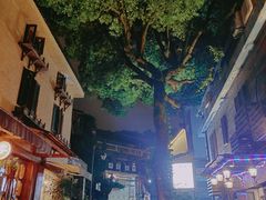 -杭州西湖风景名胜区-满觉陇四眼井