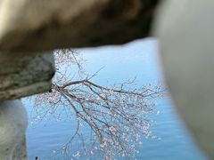 -颐和园