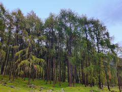 -硗碛藏寨·神木垒景区