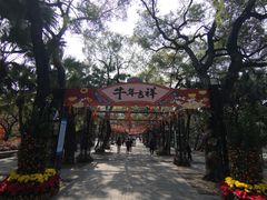 -荔湾湖公园