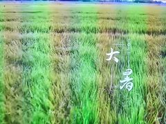 -墨锦轩·5D影院足浴·SPA(高新店)