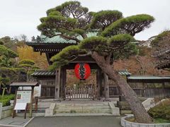 -灌篮高手动画打卡地