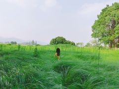 -良渚古城遗址公园