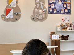 -W Coffee(船板巷店)