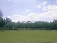 -御林古桑园