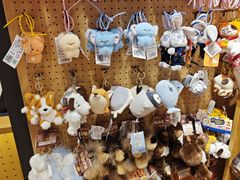 -九木杂物社(中心店)