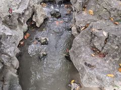 -汇龙潭