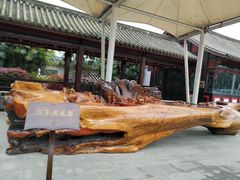 -乐山乌木文化博览苑