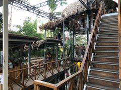 -Rainforest