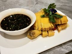 -老绍兴养和饭店(向阳不夜城店)