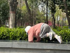 -木塔寺遗址生态公园