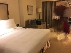 -香港皇家太平洋酒店