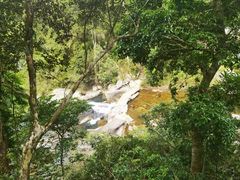 -海南热带雨林国家公园吊罗山景区