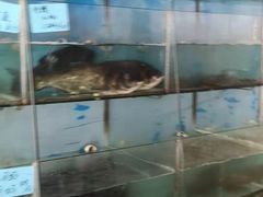 -聚丰园•湖鲜餐厅(阿红私房菜梅石路店)
