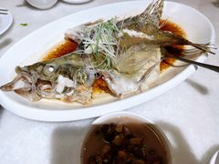 清蒸野山大桂鱼-衡山汇·高级粤菜(霄云路店)