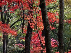 -本溪老边沟风景区