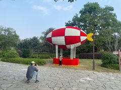 -苏州太湖国家湿地公园