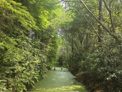 -溱湖国家湿地公园