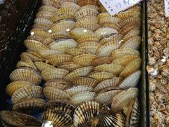 -渔人码头(洛溪店)