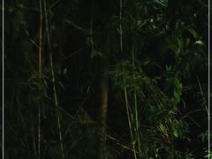 -WILDS 野有食(碧坞店)