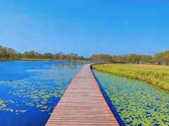 -塞罕坝国家级自然保护区