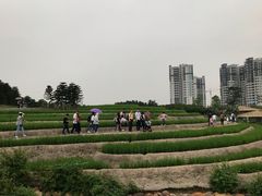 -迪茵湖田家舍生态农场