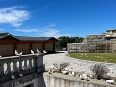 -白玉山景区